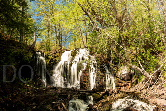 Northern Michigan Waterfall Photo 12x18" Print Hungarian Falls Variant #1