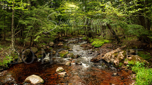 Northern Michigan Waterfall Photo 12x18" Print Greenstone Falls Variant #4