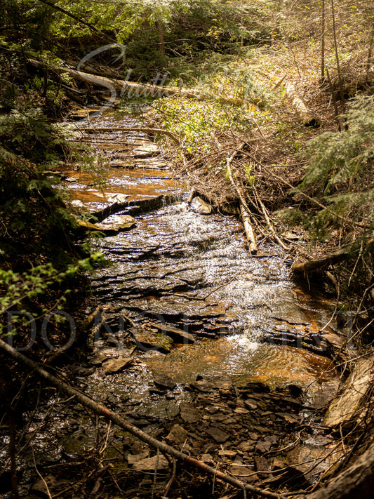 Northern Michigan Waterfall Photo 12x18" Print Laughing Whitefish Falls