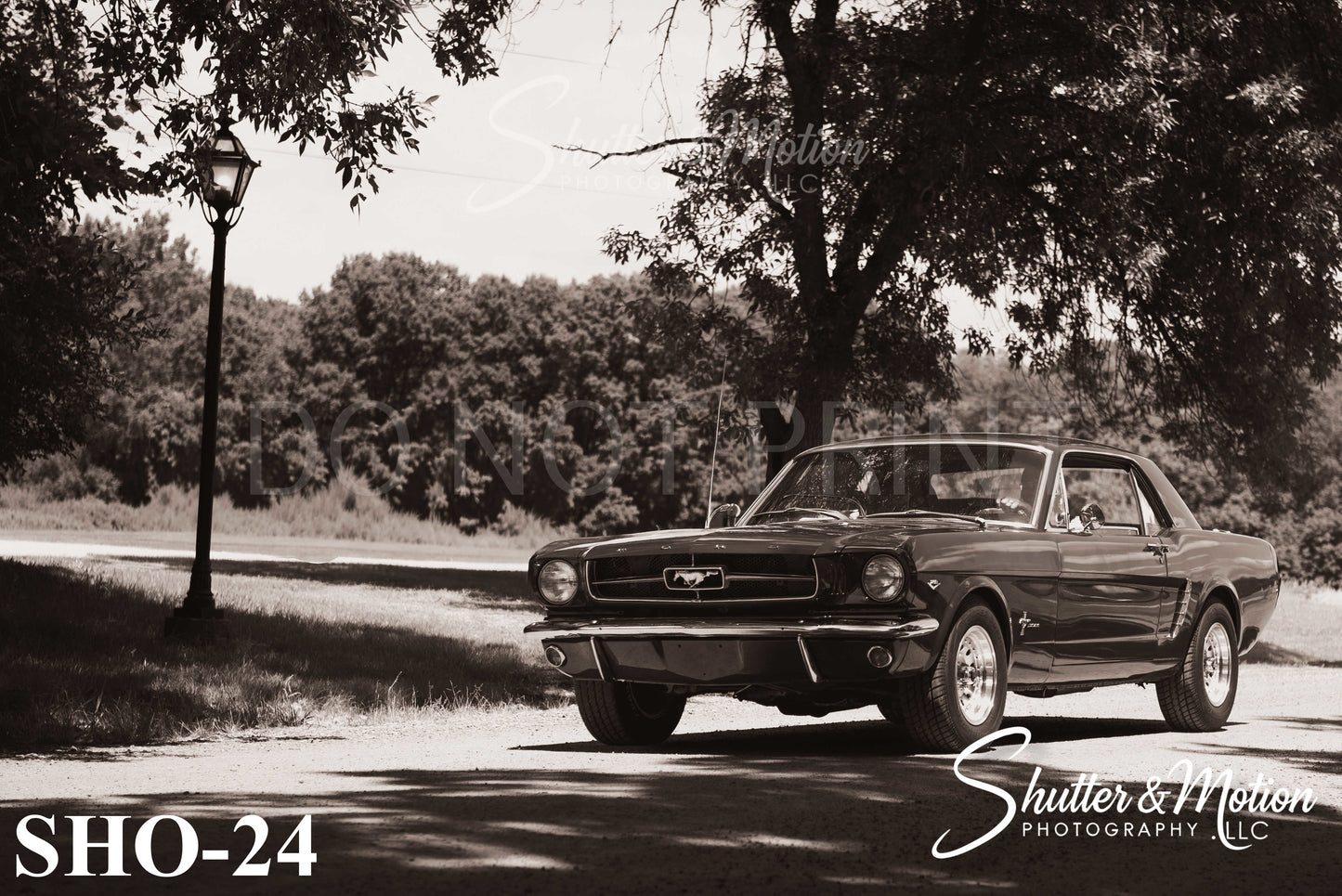 Classic show cars & trucks prints & posters