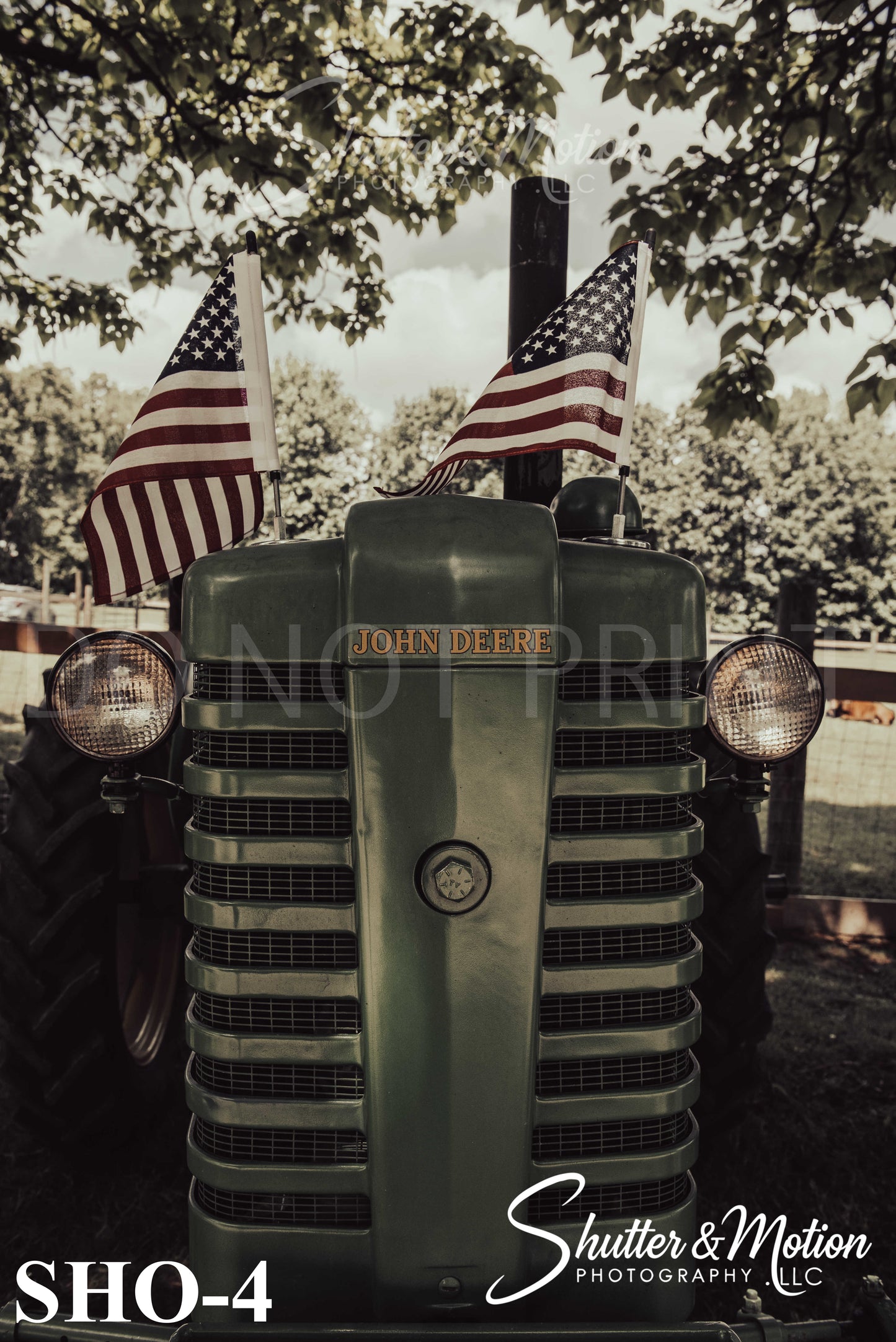 Classic show cars & trucks prints & posters