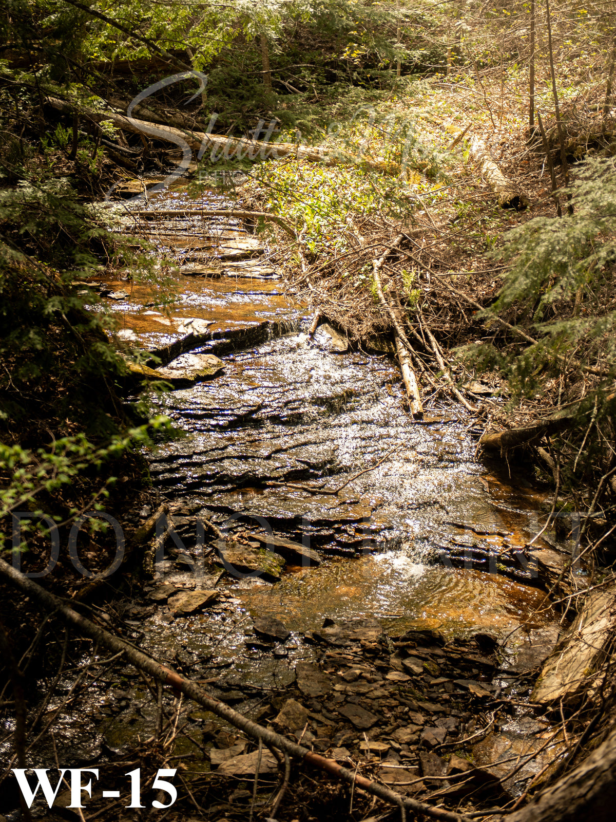 Northern Michigan Waterfall Prints/Posters