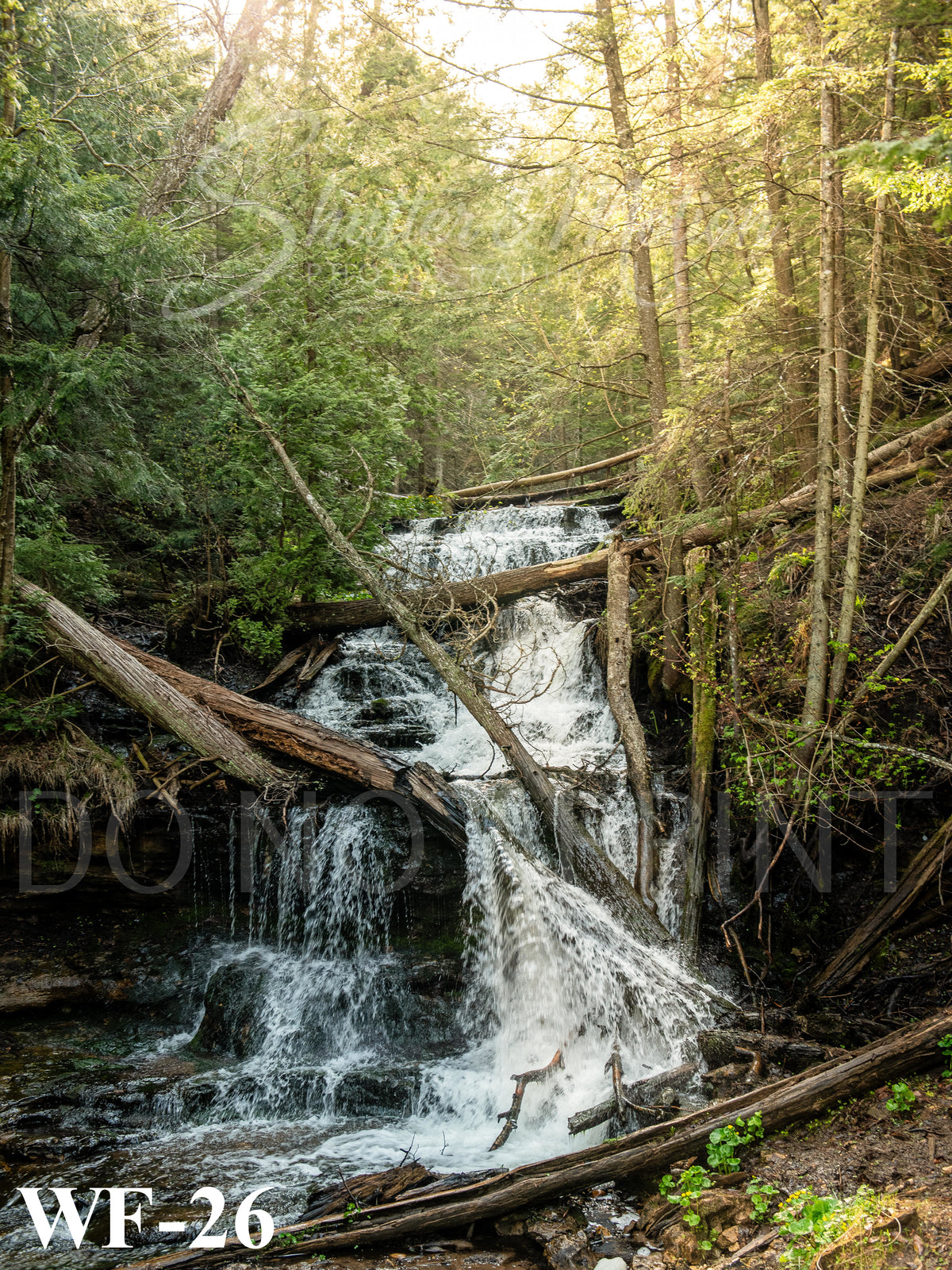 Northern Michigan Waterfall Prints/Posters