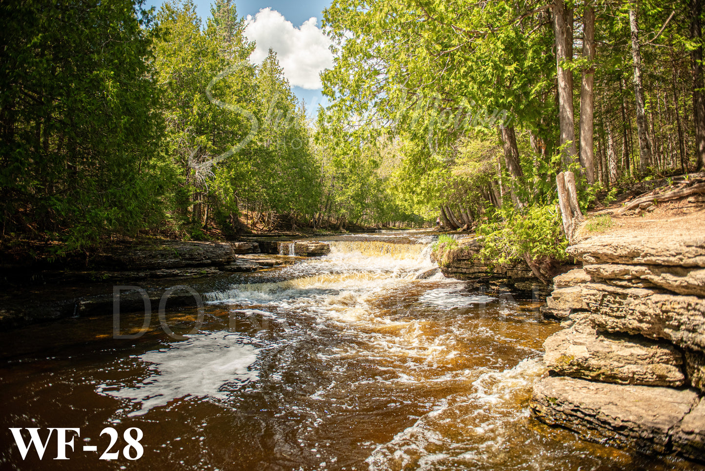 Northern Michigan Waterfall Prints/Posters